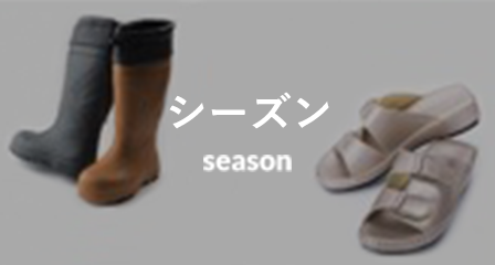 シーズン season